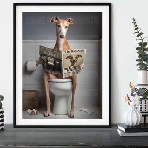 Funny Whippet Art Print – Red Whippet Reading “The Daily Zoom” – Bathroom Dog Wall Art – Hilarious Sighthound Decor – Dog Lover Gift