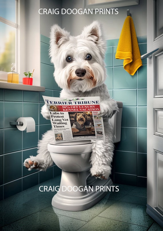 Funny westie videos hotsell