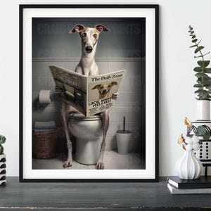 Funny Whippet Wall Art – “The Daily Zoom” – Dog on Toilet Reading Newspaper – Humorous Sighthound Print – Whippet Bathroom Decor