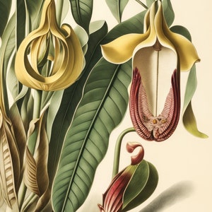Ethereal Eden: Orchid #2 Botanical Art Print, Museum Quality, Floral