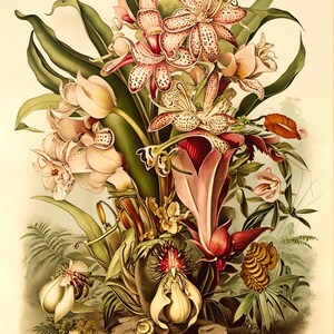 Ethereal Eden: Orchid #4 Botanical Art Print, Museum Quality, Floral