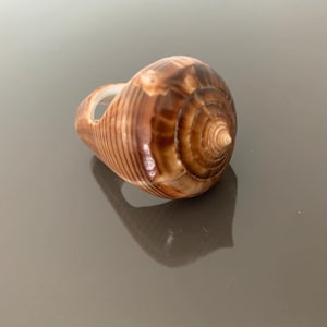 Puede incluir: Un anillo de concha marrón y beige, con un diseño en espiral y una superficie pulida. El anillo tiene una forma natural y orgánica, con un agujero en el centro. Una joya única.