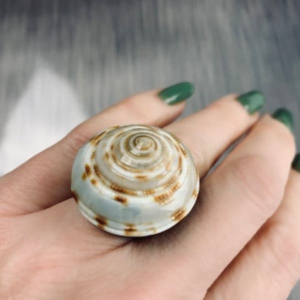 Seashell Ring Etsy