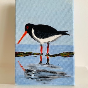 Mini canvas original art 'oyster catcher’