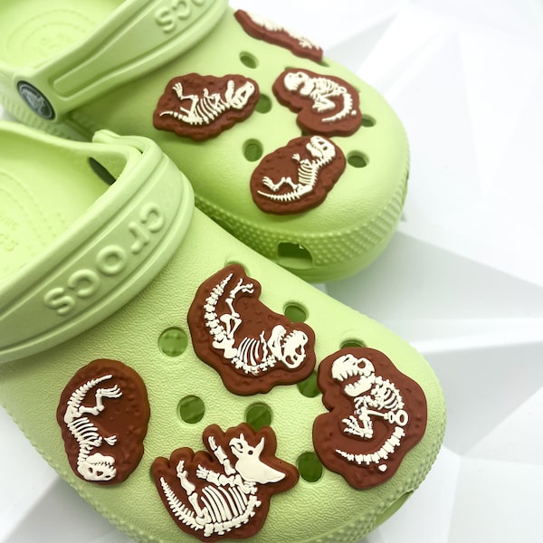 Fossil Dinosaur Crocs charms, shoe decoration , croc charm .