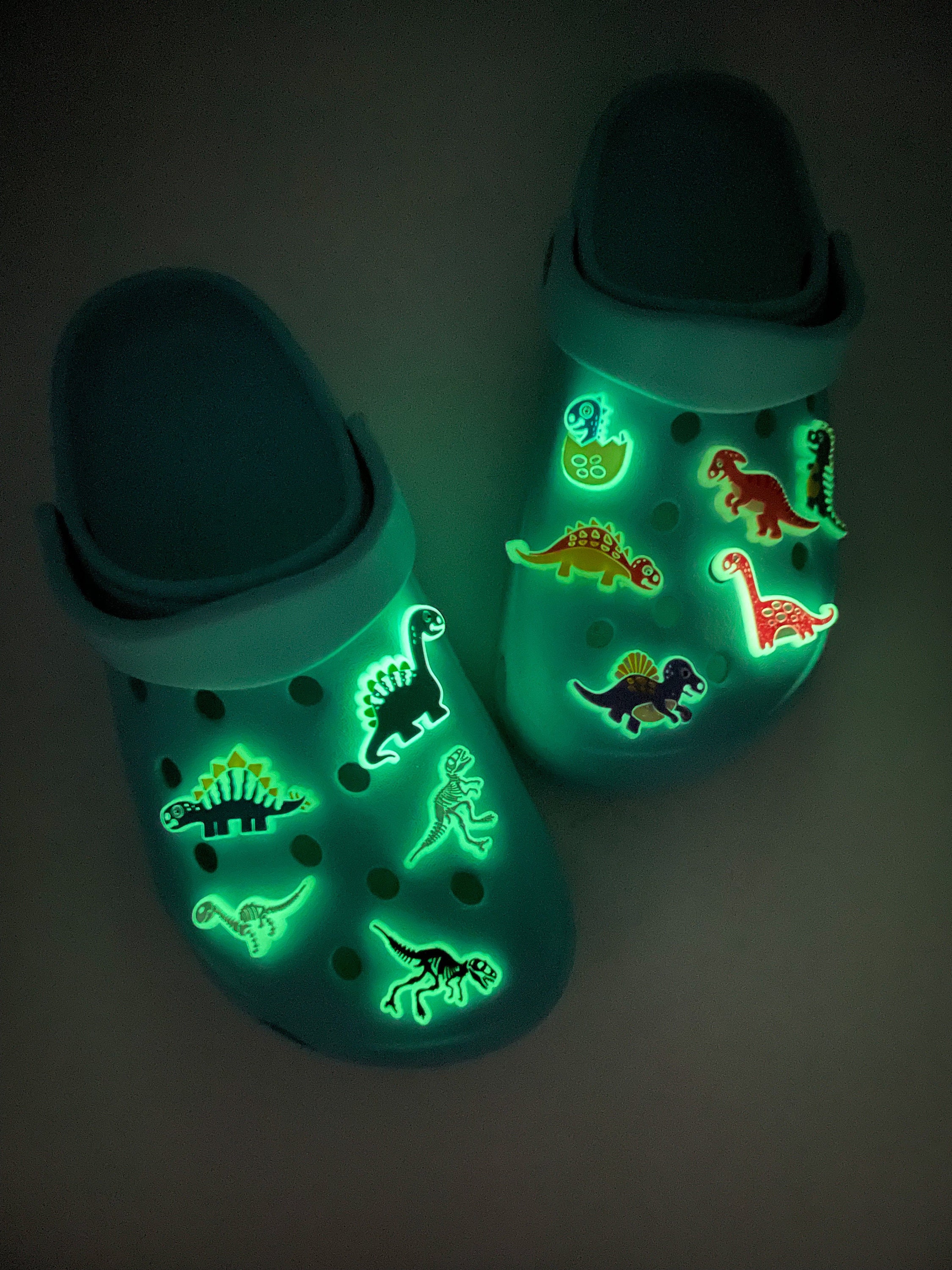 Dinosaur Glow in the Dark Charms for Crocs and Wrist Bands - Etsy