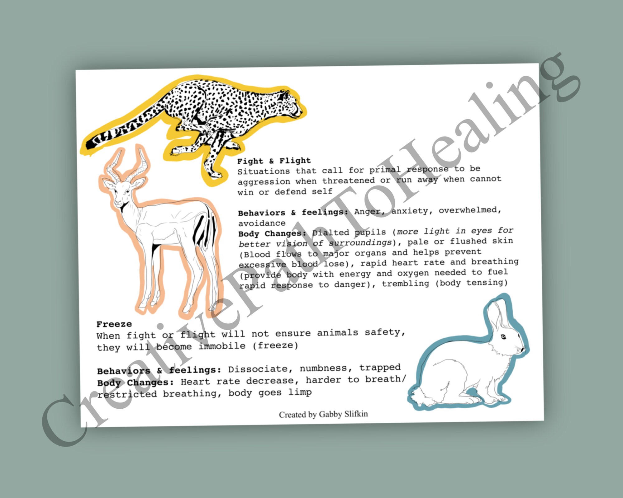 Is That Flinch A Trauma Response?  Expert Insights Here - 4pw2jwk