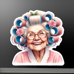 Funny Grandma Magnet: Retro Hair Curlers, Vintage Kitchen Decor