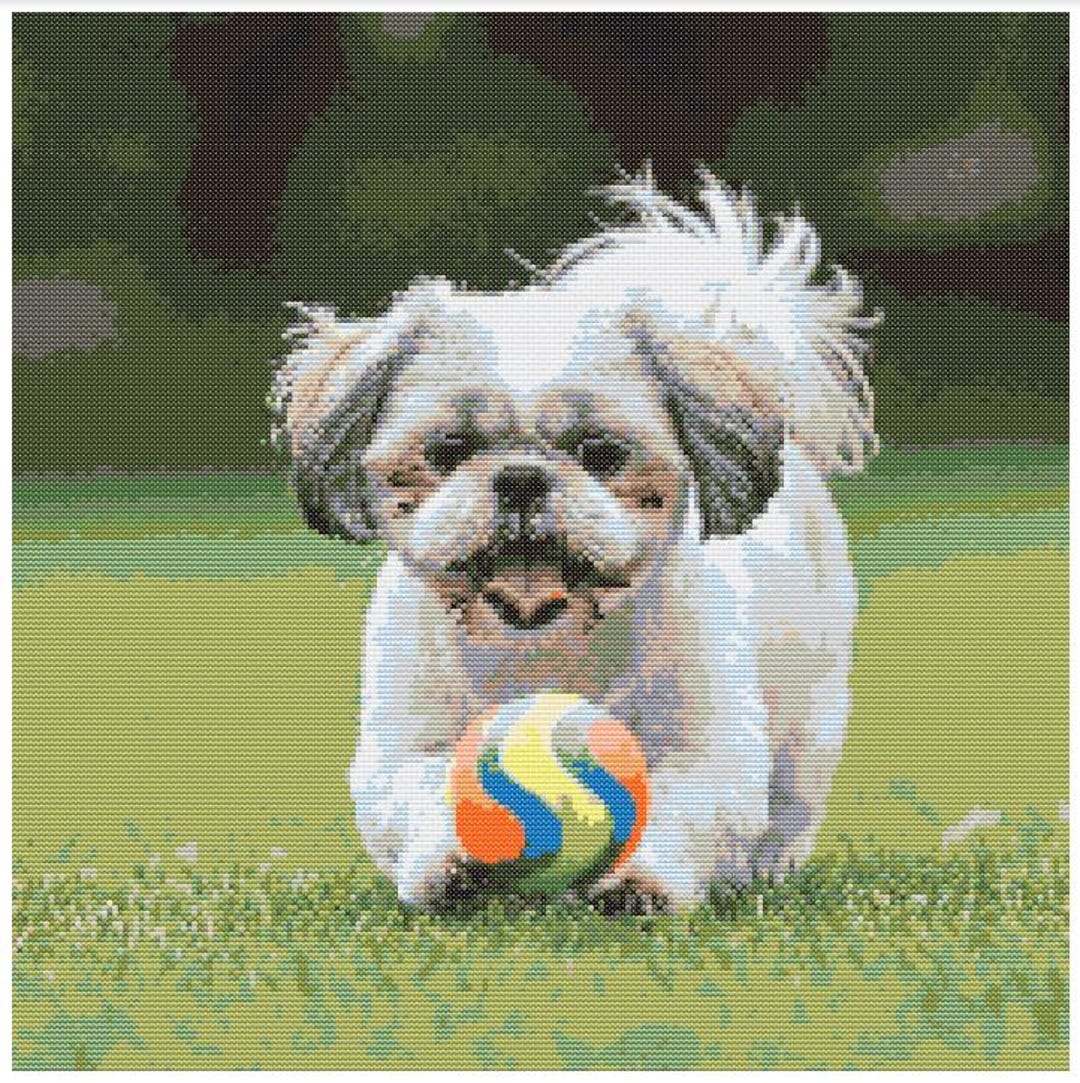 ロッド Shih Tzu4 ロッド Shih Tzu4 ロッド Shih Tzu4 ロッド Shih Tzu4 LOOP ZX-Series