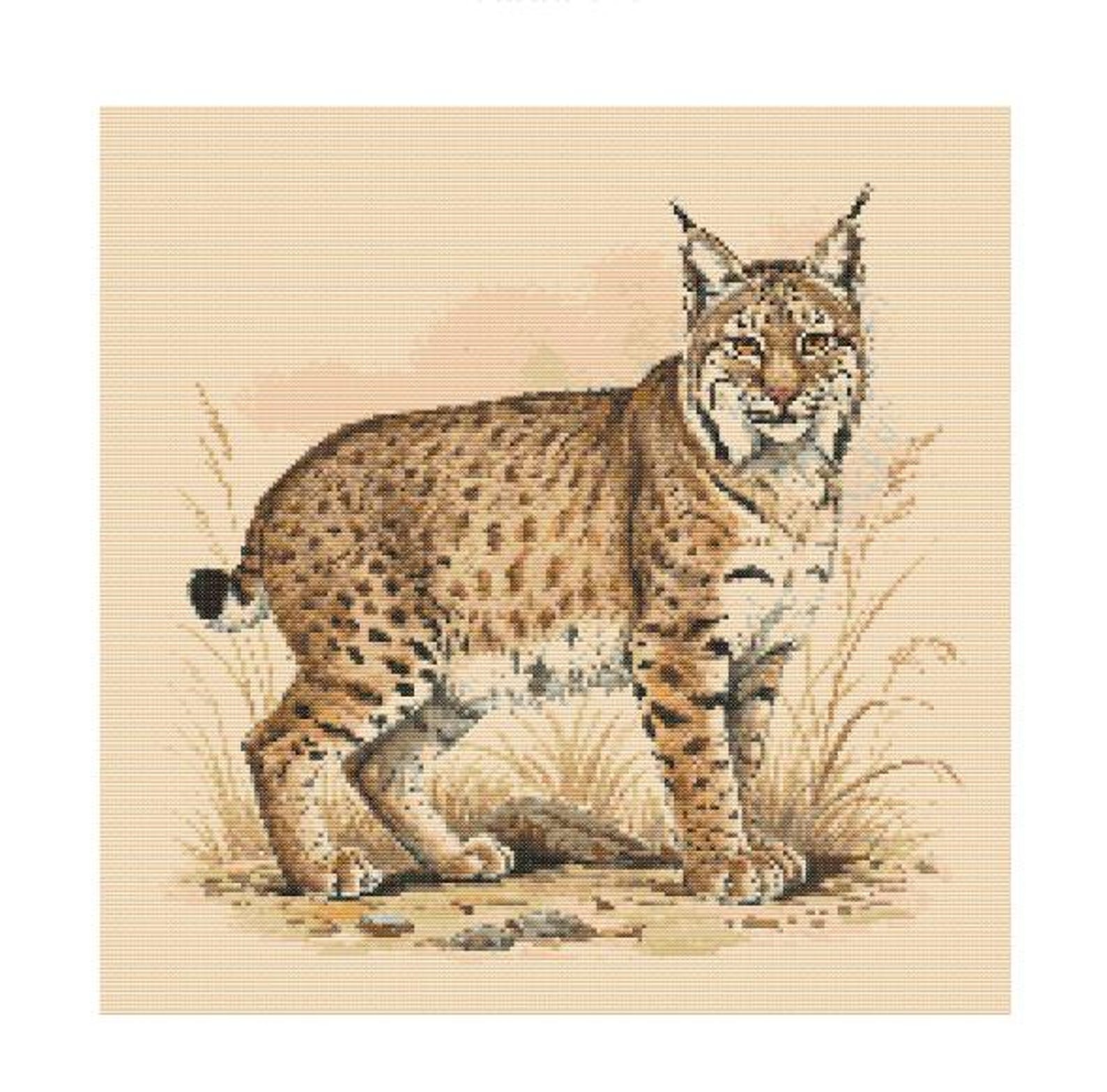Bobcat Watercolor Cross Stitch Pattern - Design Size: 200 X 200 ...