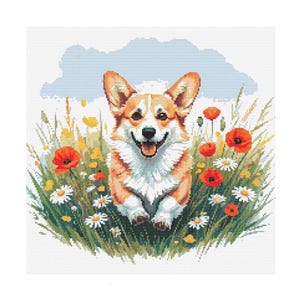 Op de afbeelding: Een bruine en witte corgi-hond met een gelukkige uitdrukking staat in een veld met groen gras en rode en witte bloemen.