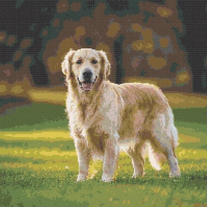 Golden Retriever in the Grass Cross Stitch Pattern - Design size: 200 x 200 stitches