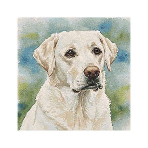 Puede incluir: Un perro Labrador Retriever blanco con ojos marrones y un pelaje blanco suave. El perro está mirando directamente al espectador con una expresión amable. El fondo es una pintura de acuarela borrosa de colores azules y verdes.