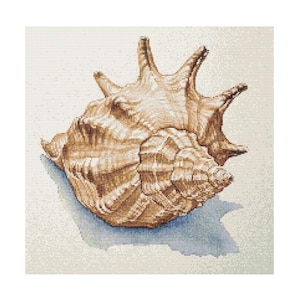 May include: A large, brown seashell with a textured surface and a pointed tip. The shell has a light brown and white color pattern.