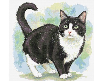 May include: A black and white cat with green eyes stands on a light blue and green background. The cat has white paws and a white chest.