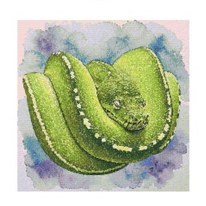 May include: A green snake with yellow markings is curled up on a purple and white background. The snake has a light green underside and a dark green top.