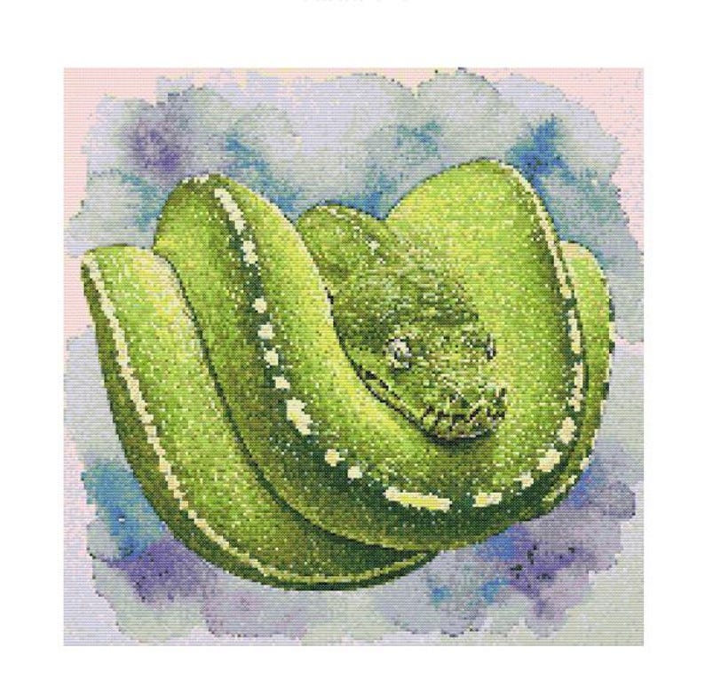 May include: A green snake with yellow markings is curled up on a purple and white background. The snake has a light green underside and a dark green top.