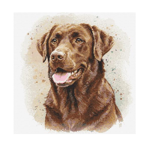 Kit croce stampata, cane labrador retriever timido, motivi a croce stampati, kit per ricamo artigianale, kit per principianti, regali fatti a mano fai da te 11 ct, 3 fili 40,6 x 50,8
