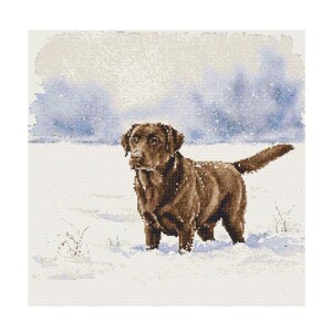 May include: A chocolate brown Labrador Retriever stands in a snowy landscape. The dog is looking to the left of the image, with its tail curled behind it. The background is a soft, watercolor-like depiction of a snowy scene with a blue sky.