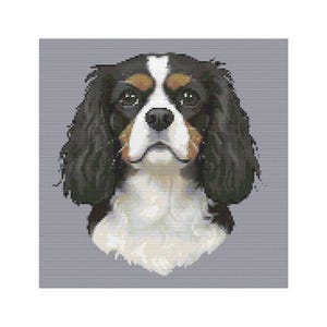 Può includere: Ritratto dettagliato di un Cavalier King Charles Spaniel. Il cane ha un mantello tricolore con macchie nere, bianche e marroni. Gli occhi del cane sono scuri e ha una macchia bianca sulla fronte. Lo sfondo è grigio.