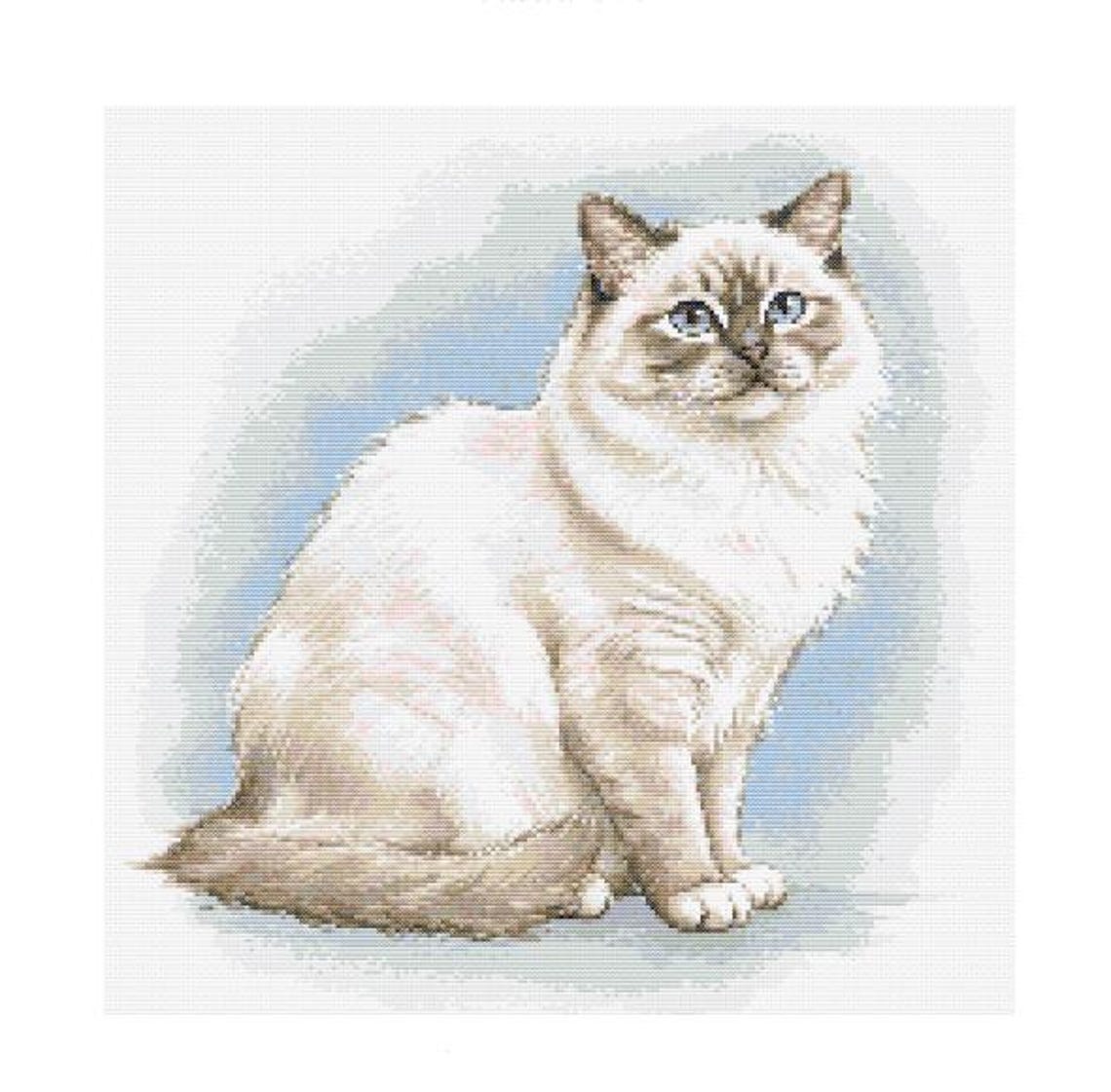 Ragdoll Cat Watercolor Cross Stitch Pattern - Design Size: 200 X 200 ...