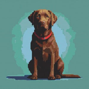 Könnte beinhalten: Ein brauner Labrador Retriever sitzt mit einem roten Halsband vor einem blauen und grünen Hintergrund.