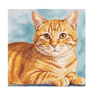 Op de afbeelding: Een close-up van een gemberkleurige tabbykat met groene ogen, liggend met gekruiste poten. De kat heeft een lichtblauwe achtergrond.