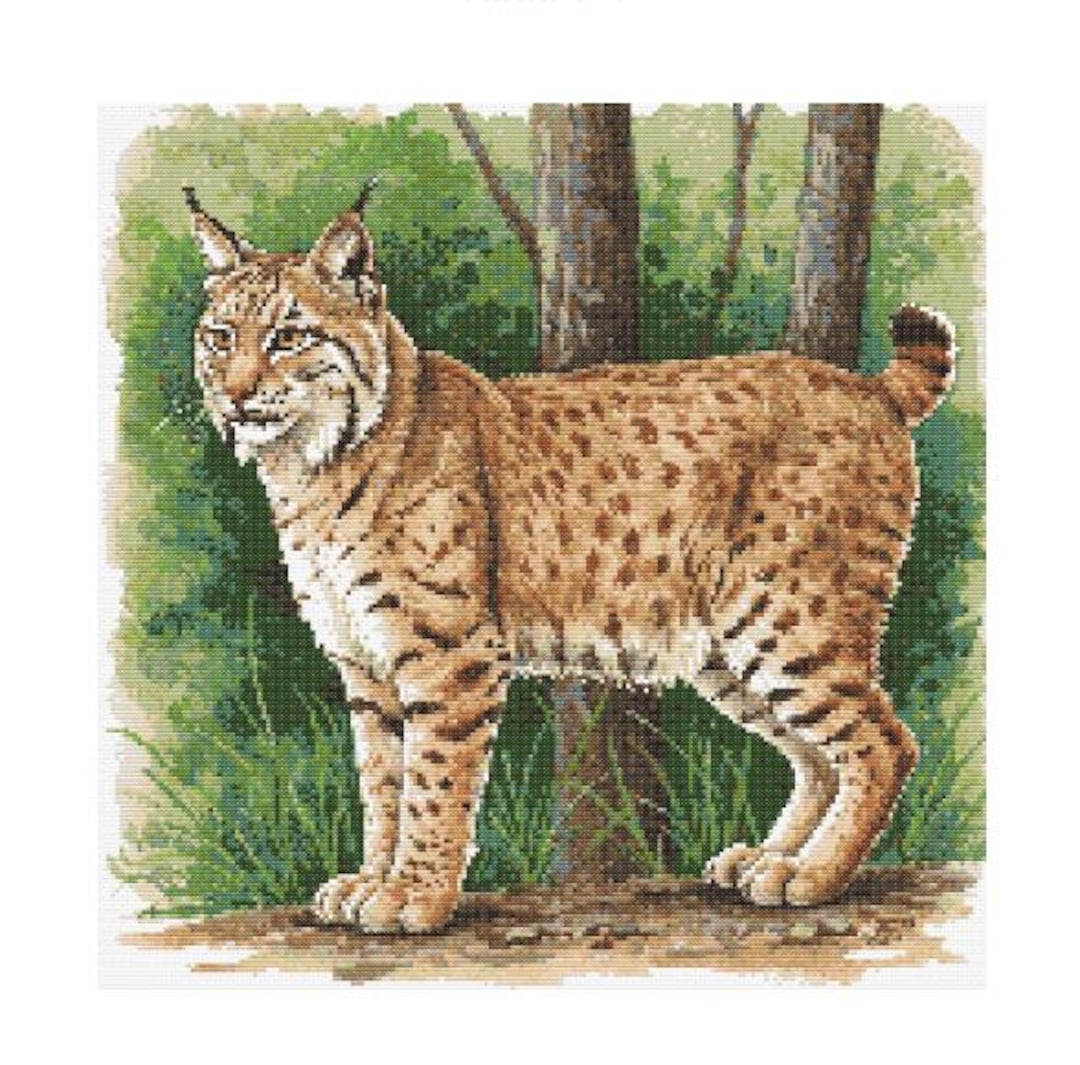 Bobcat Watercolor Cross Stitch Pattern - Design Size: 200 X 200 ...