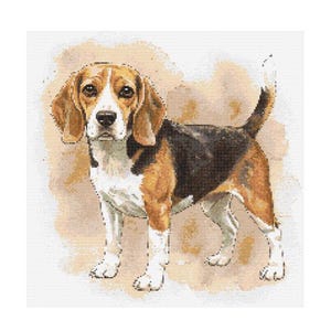 May include: A brown, black and white Beagle dog with a watercolour background. The dog is standing with its head tilted to the side and its ears perked up.