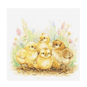 Puede incluir: Cinco pollitos amarillos con ojos y picos marrones se acurrucan juntos en un nido de hierba verde y flores silvestres. Los pollitos están rodeados de una variedad de flores coloridas, incluyendo rosas, moradas y blancas.