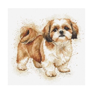 Puede incluir: Un perro Shih Tzu marrón y blanco con pelo largo y esponjoso. El perro está de pie sobre un fondo blanco con algunas manchas marrones.