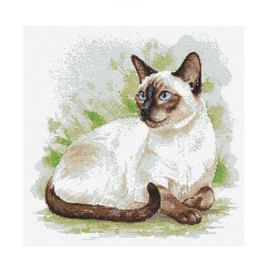 May include: A white Siamese cat with blue eyes is lying down on a green and white background. The cat has a long tail and is looking to the left.