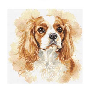 Schema punto croce Cavalier King Charles Spaniel - Dimensioni disegno: 200 x 200 punti