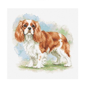 Schema punto croce Cavalier King Charles Spaniel - Dimensioni disegno: 200 x 200 punti