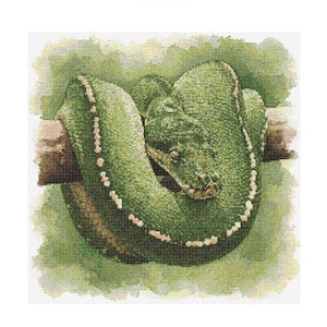 May include: A green snake with white markings is curled up on a branch. The snake is in a natural setting with green foliage.