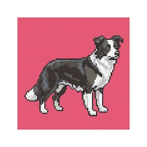 Border collie cross stitch digital pattern - Etsy 日本