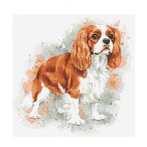 Schema punto croce Cavalier King Charles Spaniel - Dimensioni disegno: 200 x 200 punti