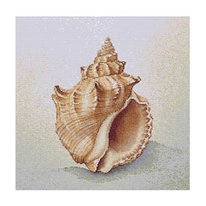 Seashell Watercolor Cross Stitch Pattern - Design size: 200 x 200 stitches