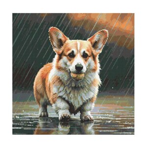 May include: A brown and white corgi dog stands in a puddle of water with rain falling around it. The dog is looking at the camera with a happy expression.