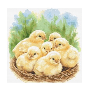 Puede incluir: Un grupo de seis pollitos amarillos y esponjosos acurrucados en un nido tejido marrón. Los pollitos están todos mirando a la cámara y tienen los ojos cerrados. El fondo es una imagen borrosa de hierba verde y cielo azul.