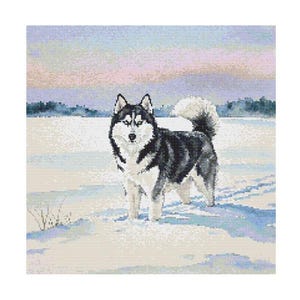 Può includere: Immagine pixelata di un Husky siberiano in un paesaggio innevato. Il cane ha pelo bianco e nero, occhi blu e una coda folta. Lo sfondo presenta un cielo pastello e un campo innevato.