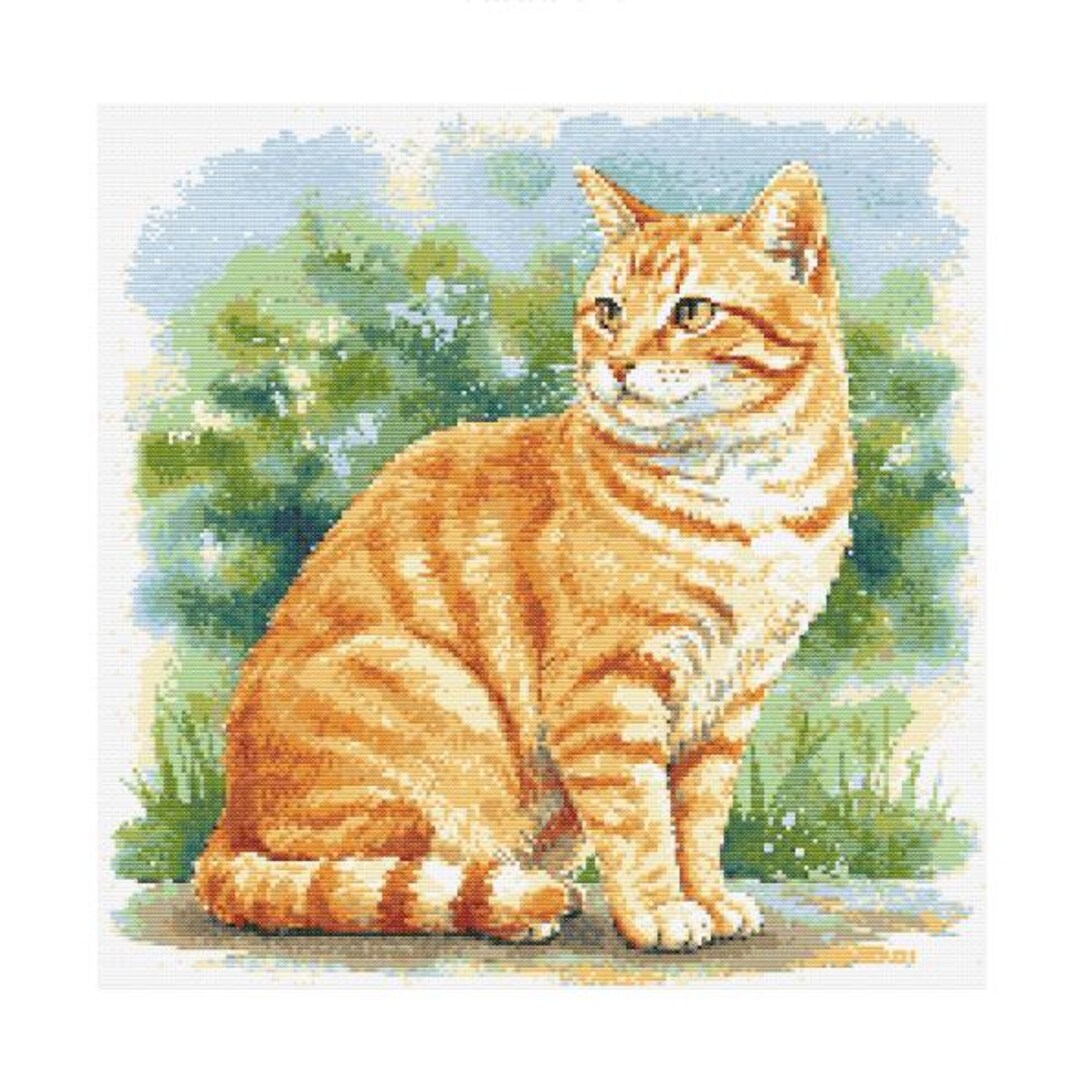 Orange Tabby Cat Watercolor Cross Stitch Pattern - Design Size