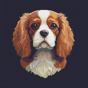 Op de afbeelding: Een close-up portret van een Cavalier King Charles Spaniel puppy met bruin en wit haar. De puppy heeft grote bruine ogen en een lieve uitdrukking.