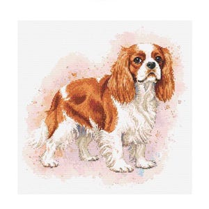 Schema punto croce Cavalier King Charles Spaniel - Dimensioni disegno: 200 x 200 punti