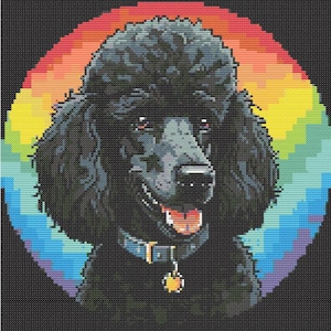 May include: A black standard poodle with a rainbow background. The poodle is wearing a blue collar with a silver tag.