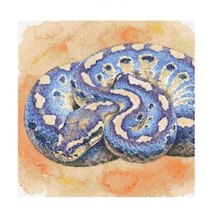 Puede incluir: Una pintura de acuarela de una pitón reticulada azul y blanca enroscada sobre un fondo naranja claro.