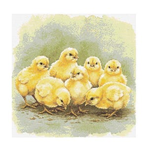 Puede incluir: Un grupo de siete pollitos amarillos acurrucados juntos sobre un fondo verde claro y marrón. Los pollitos están todos mirando en diferentes direcciones y algunos miran a la cámara.