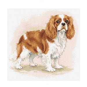 Cavalier King Charles Spaniel Cross Stitch Pattern - Design size: 200 x 200 stitches