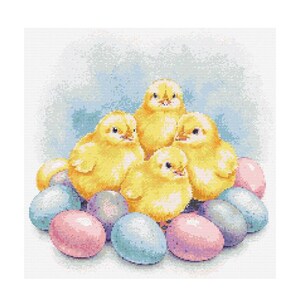 Puede incluir: Cinco pollitos amarillos y esponjosos se acurrucan juntos en un nido de huevos de Pascua azules y rosas pastel. Los pollitos tienen picos amarillos brillantes.