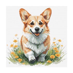 May include: A brown and white corgi dog with a happy expression is running through a field of yellow flowers. The dog has a white chest and a white tail tip.
